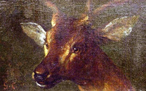 Tete De Biche Oil Painting by Gustave Courbet