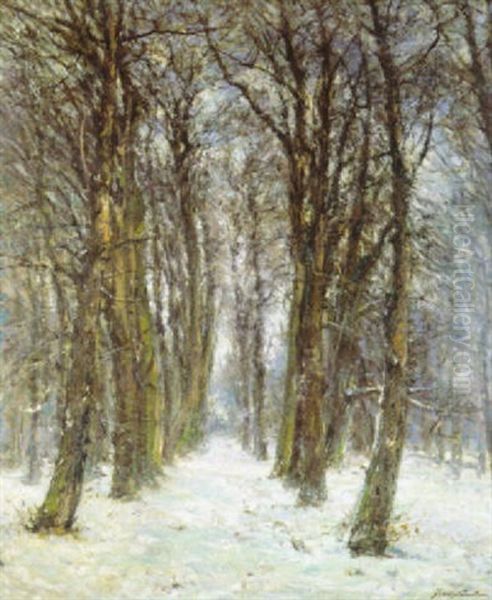 Le Bois Sous La Neige - Het Besneeuwde Bos Oil Painting by Franz Courtens