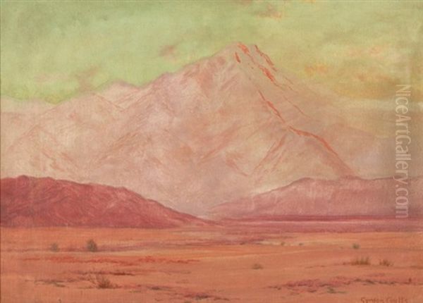 Pink Desert Landscape Oil Painting by Gordon Coutts