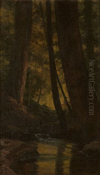 Northern California Redwoods With Stream Oil Painting by Gordon Coutts