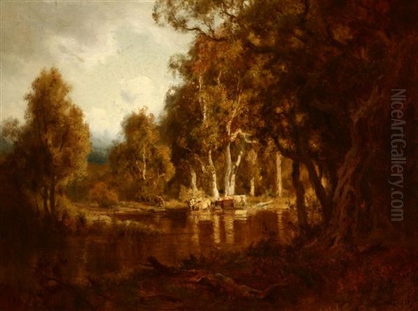 Cattle Watering Near A Woodland Pond Oil Painting by Gordon Coutts