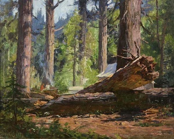 Camp At Tahoe Oil Painting by Gordon Coutts