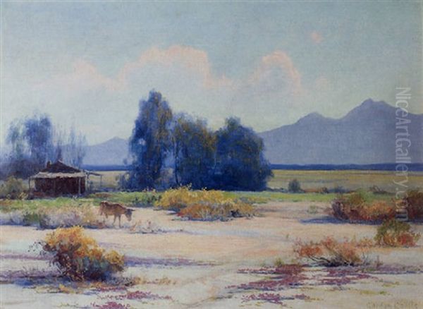 A Cabin And A Mule In A Blooming Desert Valley Oil Painting by Gordon Coutts