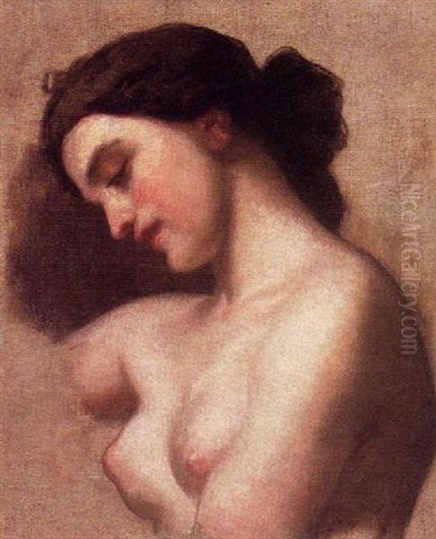 Buste De Femme Oil Painting by Thomas Couture