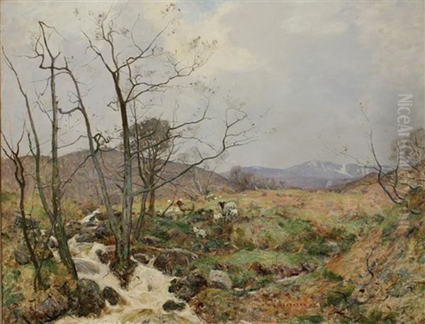 A Study Of Sheep Beside A Waterfall In An Extensive Landscape Oil Painting by Robert Mcgown Coventry