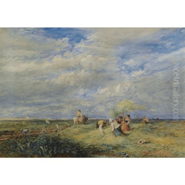 The Hayfield Oil Painting by David Cox the Elder