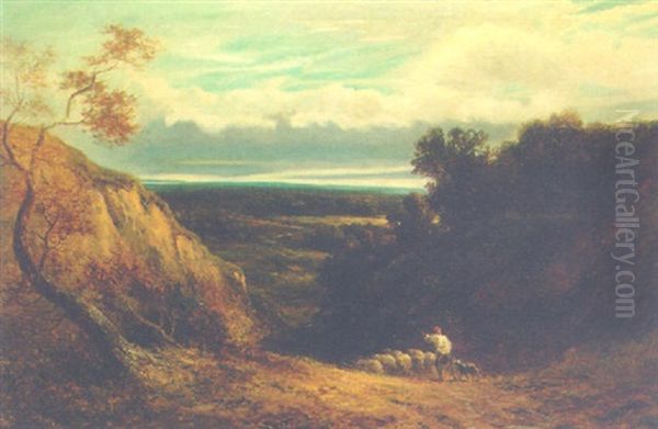 An Extensive Wooded Landscape With A Shepherd And Flock Oil Painting by David Cox the Elder