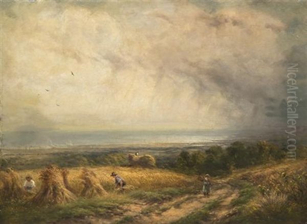 Wheat Fields Oil Painting by David Cox the Younger