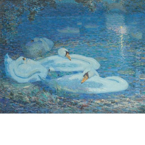 White Swans, Central Park New York City Oil Painting by Albert Scott Cox