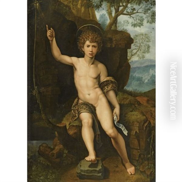 Saint John The Baptist In A Rocky Landscape Oil Painting by Michiel Coxie the Elder