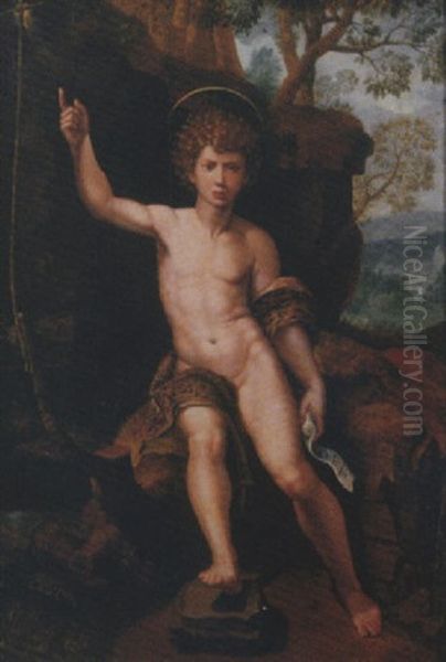 The Youthful Saint John The Baptist Oil Painting by Michiel Coxie the Elder