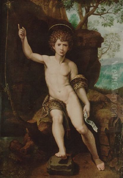 The Young St. John The Baptist Oil Painting by Michiel Coxie the Elder