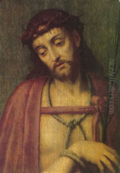 Ecce Homo Oil Painting by Michiel Coxie the Elder