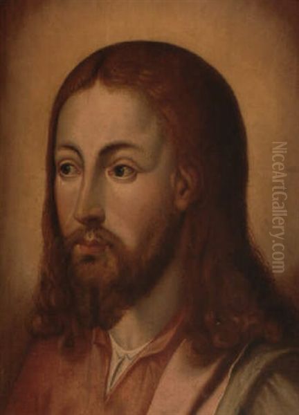 Cabeza De Cristo Salvador Oil Painting by Michiel Coxie the Elder