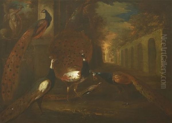 An Ostentation Of Peacocks Oil Painting by Marmaduke Cradock