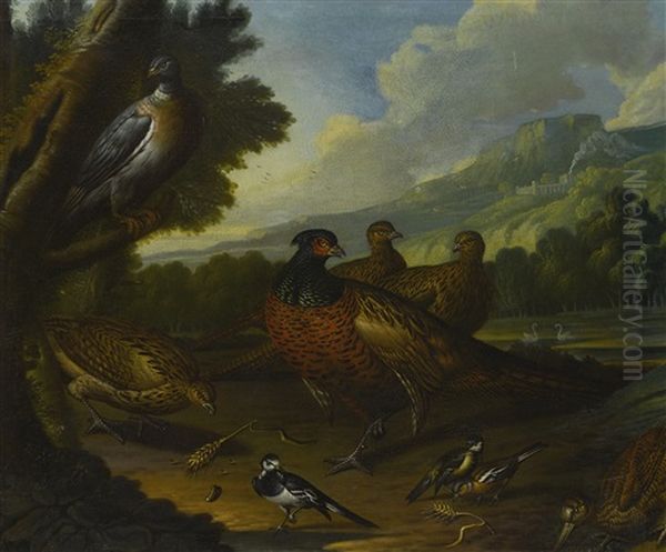 Pheasants, Wood Pigeon And Small Birds In An Extensive Landscape Oil Painting by Marmaduke Cradock