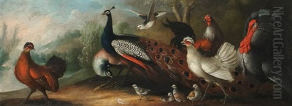 Peacock, Chickens And Turkey In A Landscape Oil Painting by Marmaduke Cradock