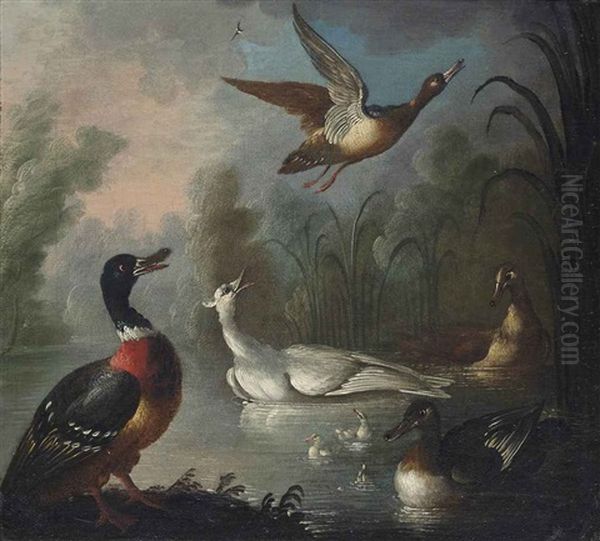 Ducks In A Pond Oil Painting by Marmaduke Cradock