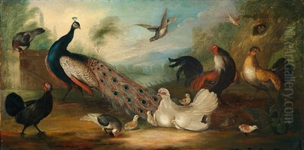 Huhnerhof Mit Einem Pfau Und Anderem Geflugel Oil Painting by Marmaduke Cradock