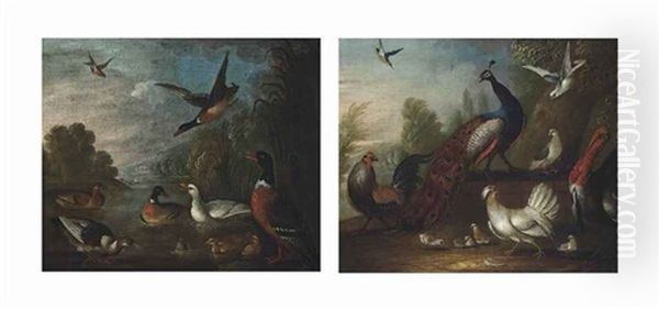 A Cockerel, A Peacock, A Turkey, A Hen, Chicks, Pigeons And Other Birds In A Wooded Landscape; Ducks, Ducklings And Other Birds In A River (pair) Oil Painting by Marmaduke Cradock