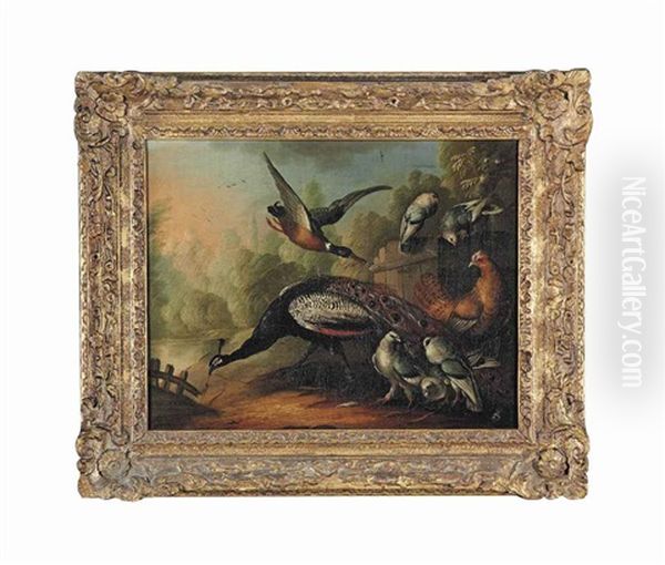 A Peacock, A Duck And Other Birds By Fence, A Pond Beyond Oil Painting by Marmaduke Cradock