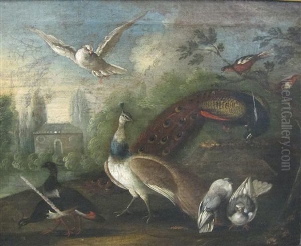 A Peacock And Wildfowl In A Parkland Setting Oil Painting by Marmaduke Cradock