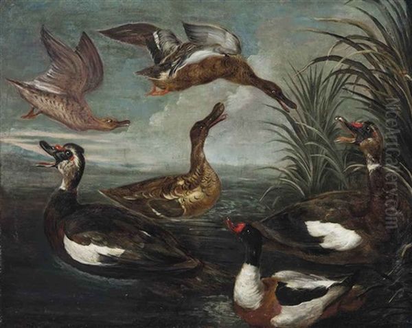 Ducks In A Pond by Marmaduke Cradock