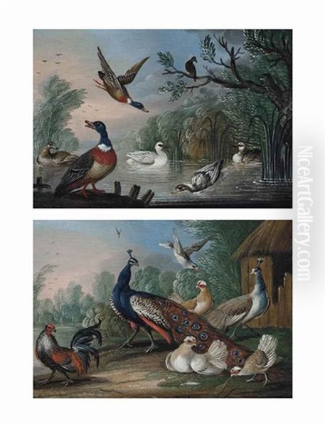 Mallard, A Swan And Geese By A Pond (+ Peacocks And Chickens Beside A Barn In A Landscape; Pair) Oil Painting by Marmaduke Cradock