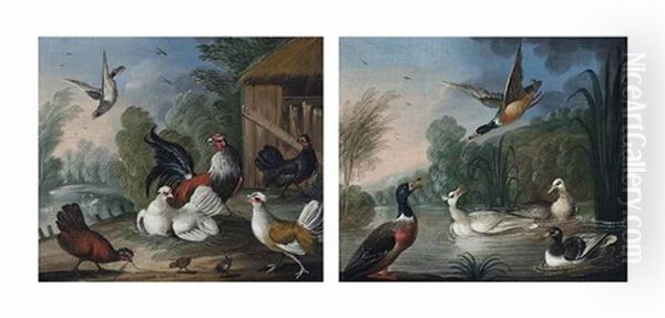 Mallard And Geese By A Pond (+ A Cockerel And Chickens By A Barn In A Landscape; Pair) Oil Painting by Marmaduke Cradock