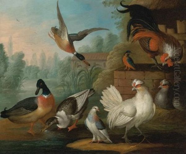 Still Life With Cockerels, Ducks, A Kingfisher And A Pigeon In A River Landscape Oil Painting by Marmaduke Cradock