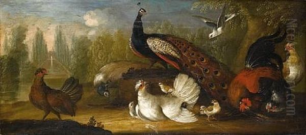 A Peacock And A Peahen With A Cockerel And Other Fowl In A Park Landscape Oil Painting by Marmaduke Cradock