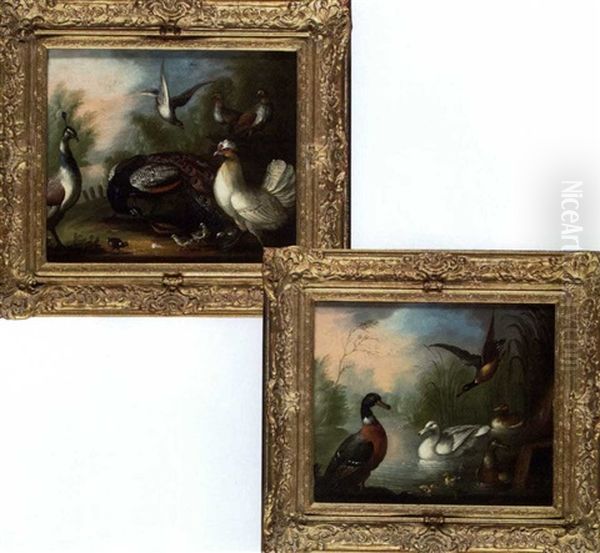 Peacocks, Poultry And Doves In A Wooded Landscape (+ Ducks In A River Landscape; Pair) Oil Painting by Marmaduke Cradock