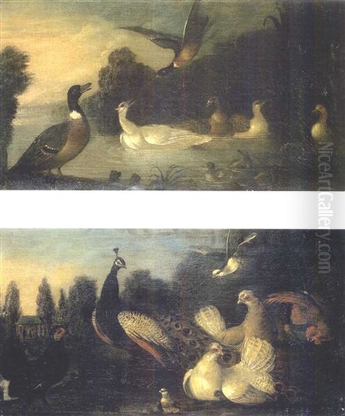 Canards Dans La Mare (+ Paon Et Autres Oiseaux Dans Un Parc; Pair) Oil Painting by Marmaduke Cradock