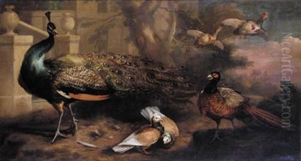 An Assembly Of Fowl, Including A Peacock, Pigeons, Pheasant And Partridges Oil Painting by Marmaduke Cradock