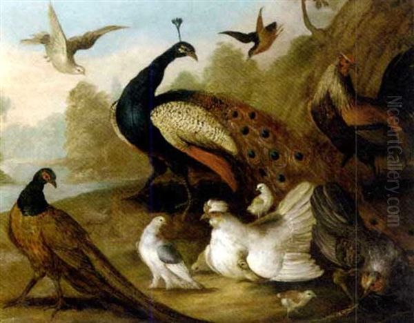 A Peacock, Pheasant, Hen, A Dove And Other Fowl In A River Landscape Oil Painting by Marmaduke Cradock