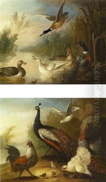 Ducks On A River Oil Painting by Marmaduke Cradock