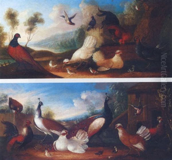 Assembly Of Fowl Oil Painting by Marmaduke Cradock