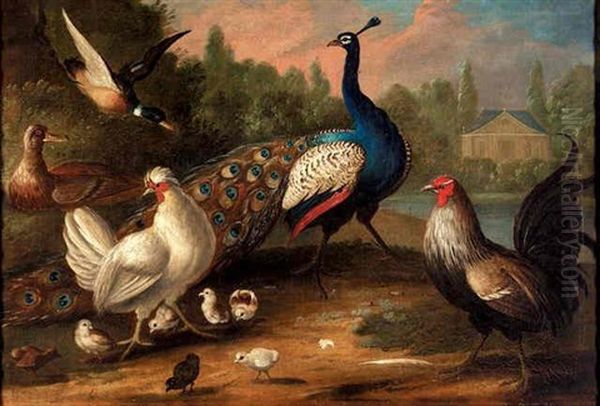 A Peacock, A Chicken And A Hen With Her Chicks, And Two Ducks In A Landscape, A House Beyond Oil Painting by Marmaduke Cradock