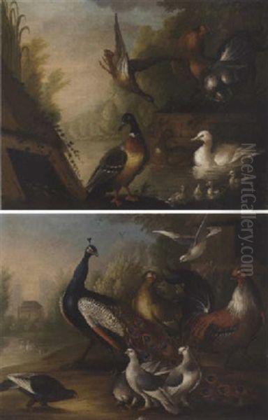 Ducks And Chickens By A River Oil Painting by Marmaduke Cradock