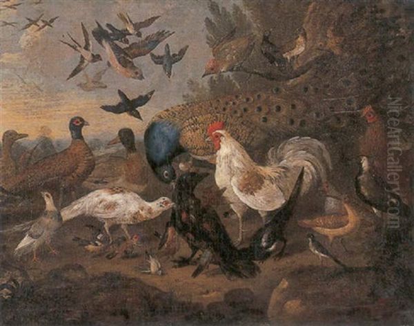 A Peacock, Birds And Other Fowl In A Landscape Oil Painting by Marmaduke Cradock