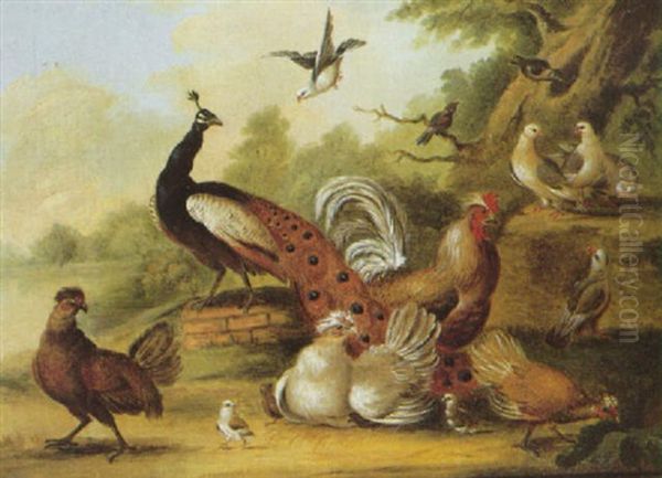 A Peacock, A Cockeral, A Hen And Other Fowl In A Landscape Oil Painting by Marmaduke Cradock