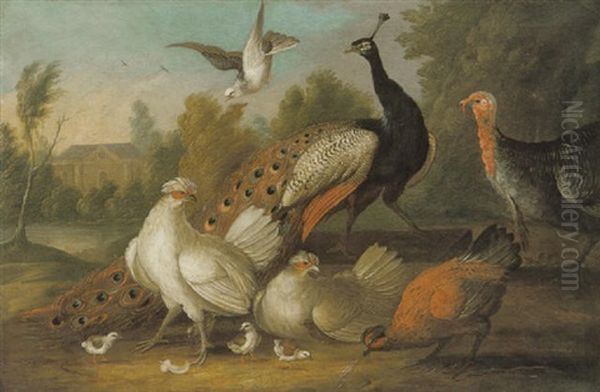 A Peacock And Other Fowl In A Landscape With A House Beyond Oil Painting by Marmaduke Cradock