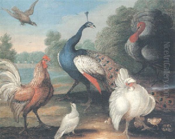 A Peacock And A Lavender Turkey With Other Fowl In A River Landscape Oil Painting by Marmaduke Cradock