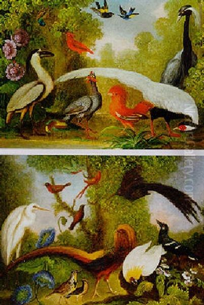 Oiseaux Exotiques Dans Un Paysage Oil Painting by Marmaduke Cradock