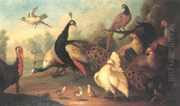 A Parkland With Peacocks, Pheasants And Hens With Chicks, A Turkey And A Jay Oil Painting by Marmaduke Cradock