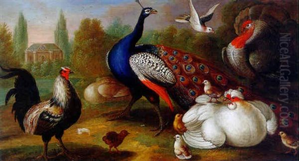 A Peacock, A Turkey, Chickens And Other Birds In A Park




A Peacock, A Turkey, Chickens And Others Birds In A Park Oil Painting by Marmaduke Cradock