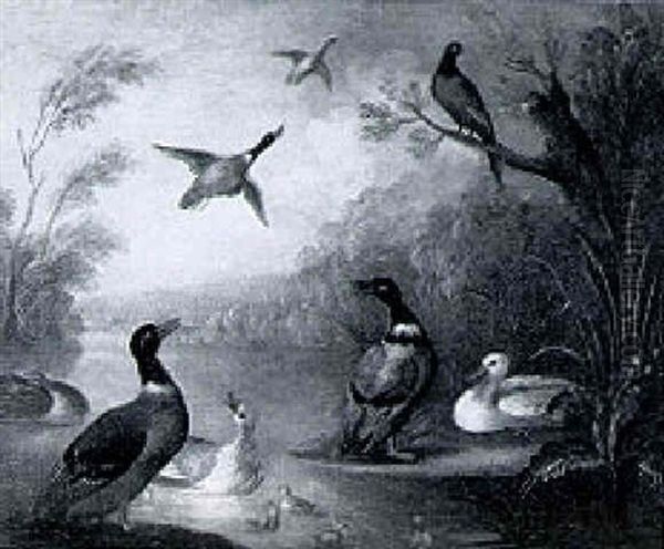 A Mallard Duck And Chicks On A River With Pheasnats Flying Overhead Oil Painting by Marmaduke Cradock