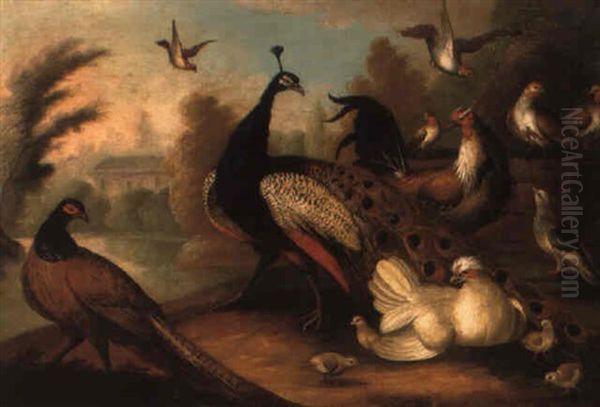 A Peacock, Pheasant, Partridges And Other Birds In A Landscape By A Lake Oil Painting by Marmaduke Cradock