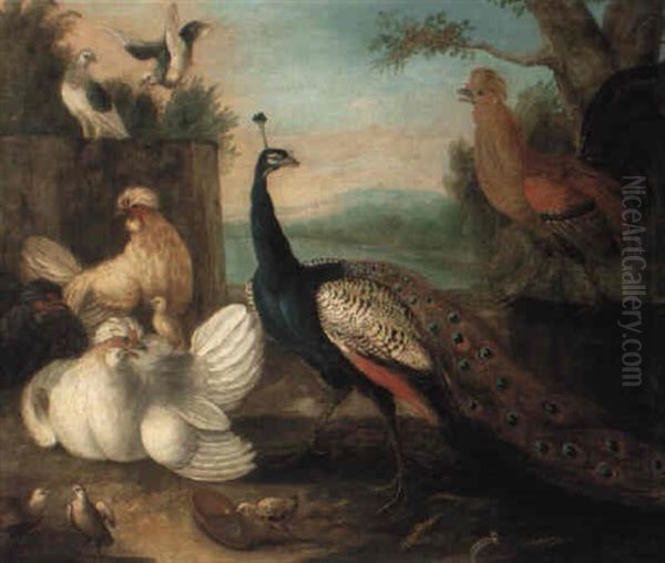 Exotic Fowl In A Landscape Oil Painting by Marmaduke Cradock