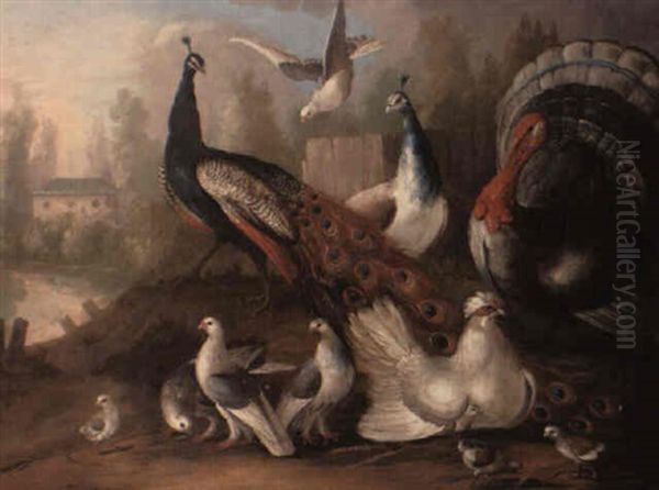 A Concert Of Exotic Birds In A Park Landscape Oil Painting by Marmaduke Cradock